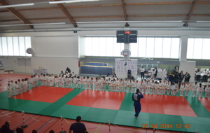 Mistral Judo's Cup 2014