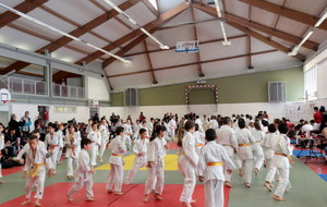 Mistral judo's cup 5 éme édition