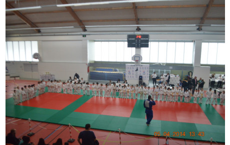 Mistral Judo's Cup 4 ème édition