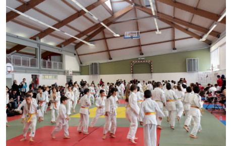 6 ème Edition Mistral Judo's Cup
